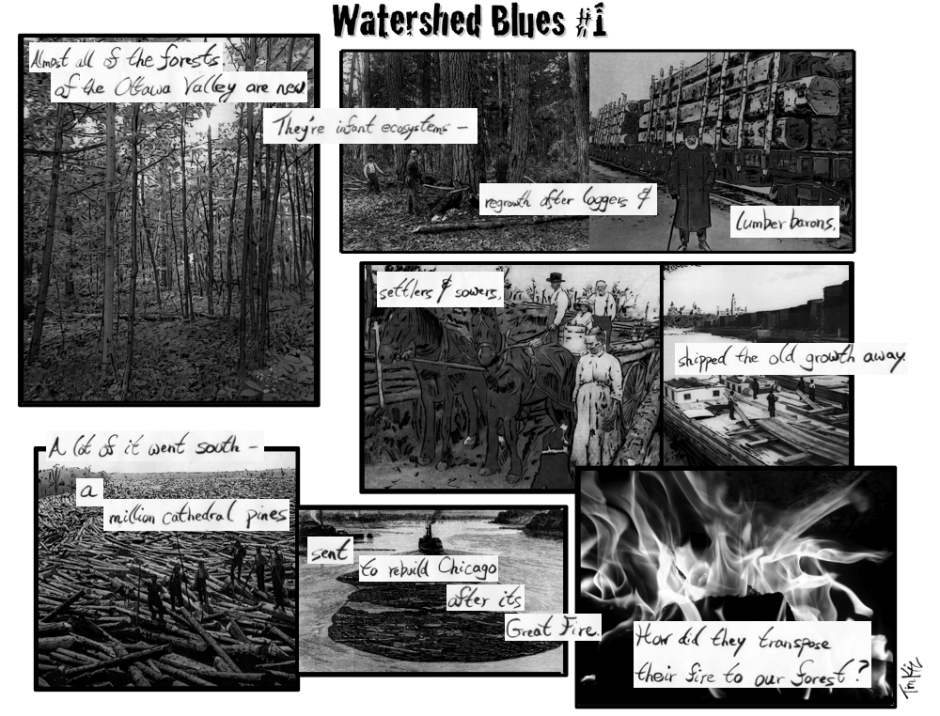Watershed Blues 1